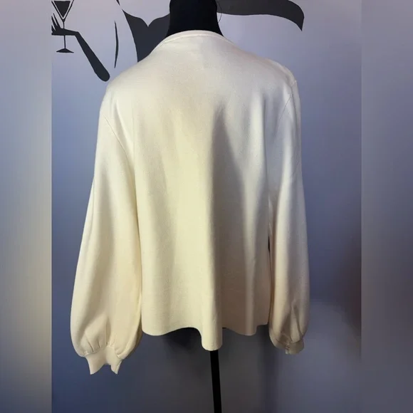 NWOT. Joie Cream V-Neck Sweater with Chain Detail. PTP 24 - Picture 6 of 8